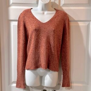 The Limited Women's V-Neck Sweater in Rust